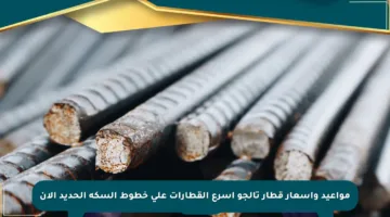 مواعيد وأسعار قطار تالجو أسرع القطارات على خطوط السكة الحديد الآن